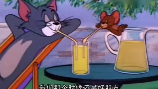 猫和老鼠